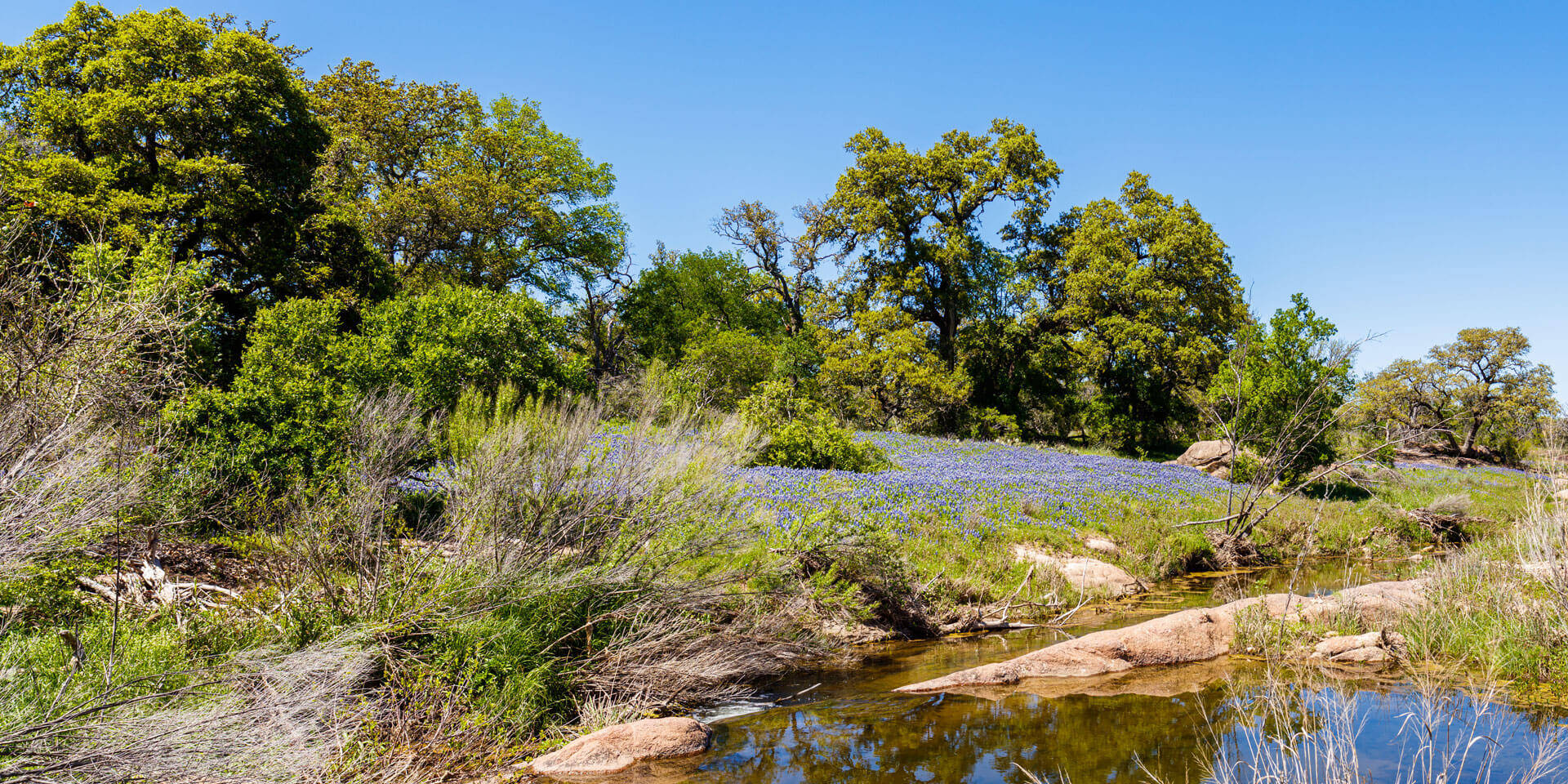 The Ranches at Yancey Creek